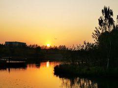 -东郊湿地公园