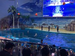 -福州罗源湾海洋世界旅游区