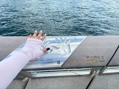 -星光大道