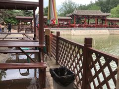 -尚庄度假村·庭台树下·户外烧烤·团建CS·轰趴营地(上庄水库店)