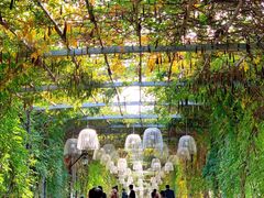 -武汉紫薇都市田园