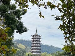 -羊楼洞