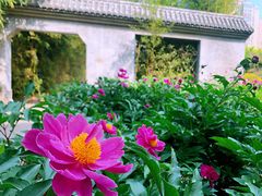 -丰台花园