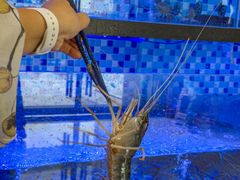 -七的湖·晚芳亭·阳澄湖农家菜·大闸蟹(莲花岛店)