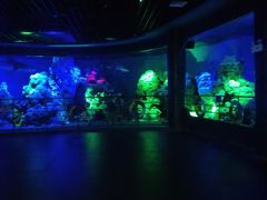 -北海·海洋之窗