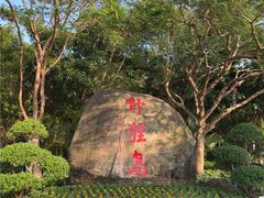 -野狸岛
