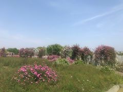 -尚贤河湿地