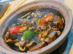 啫啫黄鳝-天宝食坊·啫啫煲大排档(西华路店)