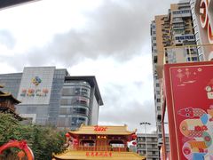 -越秀西湖花市(广州城市广场花卉店)