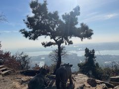 -虞山风景区