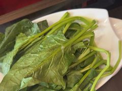 -蝎王府羊蝎子(北大地店)