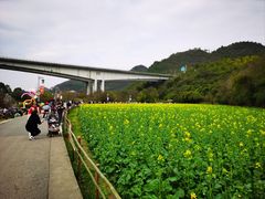 -贵阳市花溪国家城市湿地公园