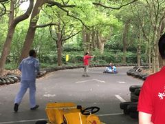 游乐设施-上海共青森林公园