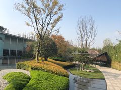 -枫香湖儿童公园