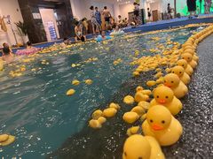 -水王国温泉水世界