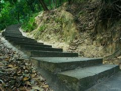 -火炉山森林公园