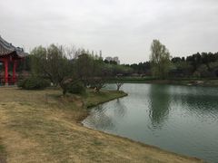 -秀丽东方
