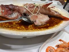 -一品粤珍轩(吴中路店)