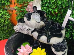 -惠粤轩茶餐厅(中山北路店)