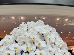 -港汇恒隆广场