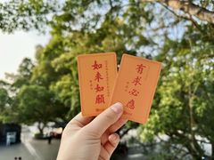 -深圳市中科院仙湖植物园