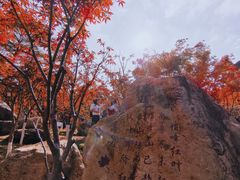 -广州市帽峰山景区