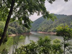 -广州市石门国家森林公园
