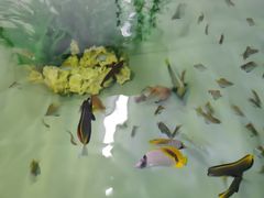 -沈阳海洋探索中心