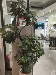 -LJOY丽锦造型·烫发染发