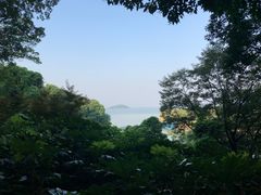 -上海市保健医疗中心(华东疗养院)
