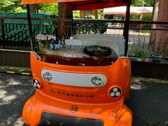 -东平国家森林公园