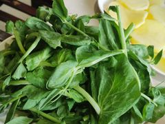 -爱膳菌锅锅(阳南店)