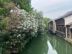 -乌镇西栅景区
