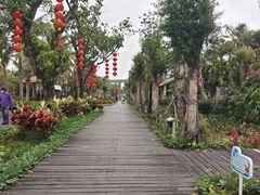 -中澳友谊花园