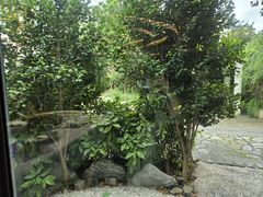 -颂福楼·南京菜(定淮门店)