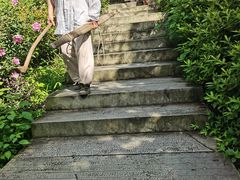 -东天目山风景区