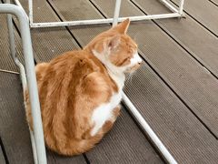 -UNI UNI(环亚凯瑟琳店)