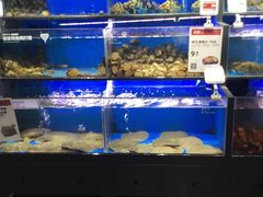 水产区-盒马鲜生(双清路店)
