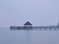 -瑶湖郊野森林公园