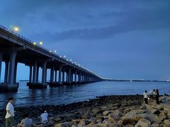 -宝安西湾红树林湿地公园