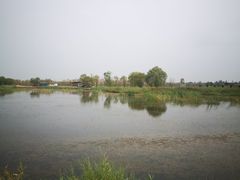 -黄沙古渡原生态旅游区