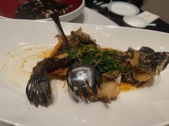 -雅苑中餐厅