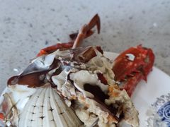 -王潮活海鲜自助·蒸汽海鲜