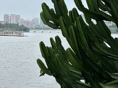 -白鹭洲公园