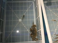 -星伦多 自助料理(圆融店)