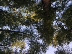 -上海月湖雕塑公园