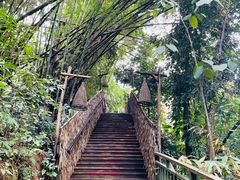 -西双版纳基诺山寨