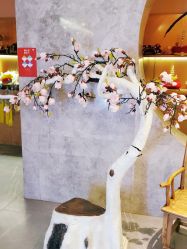 点击看大图 -盘子女人坊古装写真摄影(南京总店)