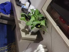 -速8酒店(北京宣武医院老墙根街店)