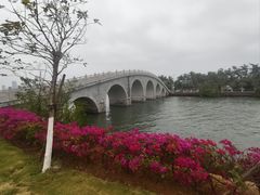 -万绿园